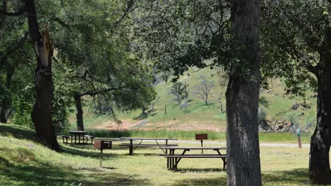 Basic Site — image 1 of 11