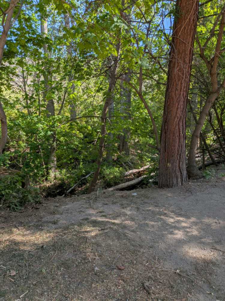 Park Image 7