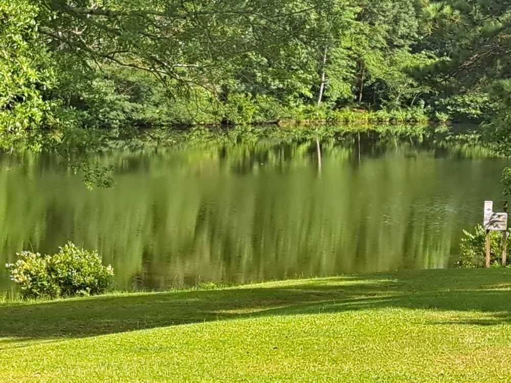 Park Image 5