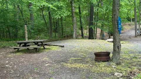 Electric Tent Site — image 3 of 3