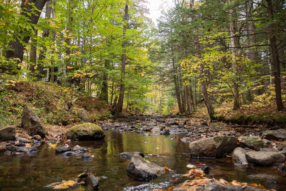 Ames Brook Campground - Photo 4