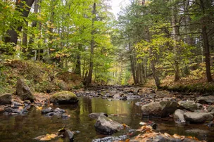 Ames Brook Campground – photo 4