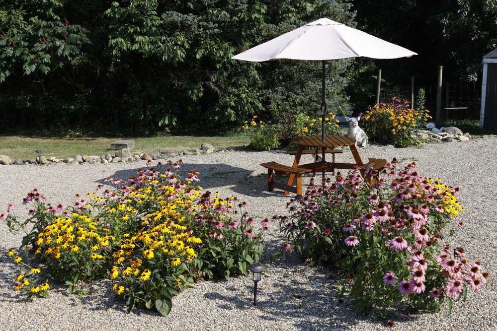 Park Image 8