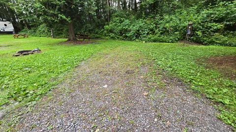 20 Amp Lake Adjacent RV Site — image 2 of 6