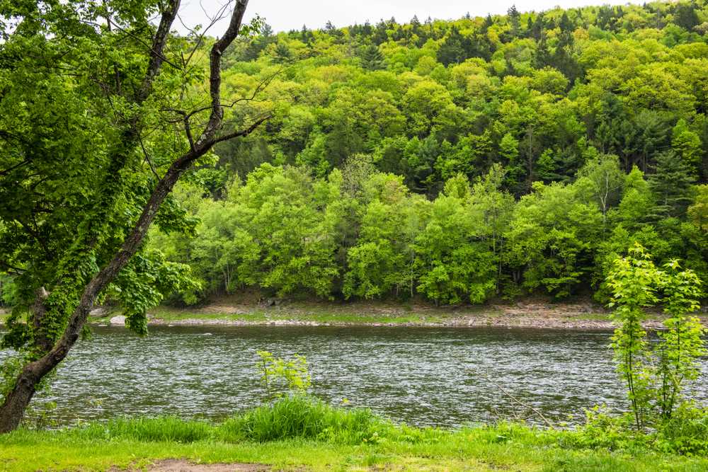 Kittatinny's K-Camp Campground - Photo 5