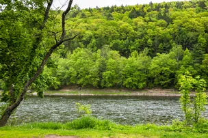 Kittatinny's K-Camp Campground – photo 5