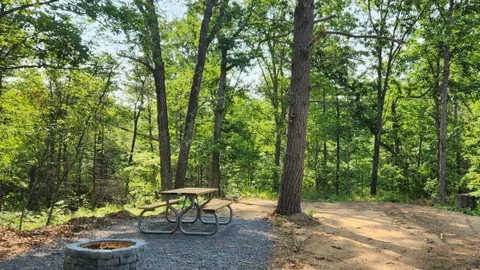 Rustic Campsite - Unserviced — image 1 of 6