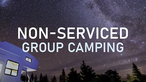 NON-SERVICED GROUP — image 1 of 1