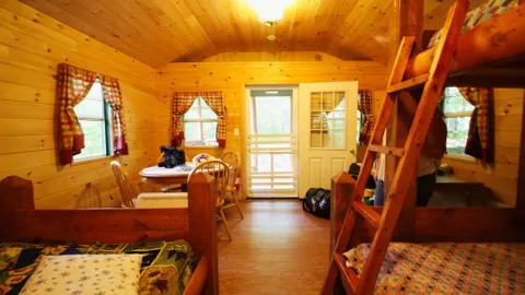 Rustic Cabin 91 Pet Friendly — image 5 of 5