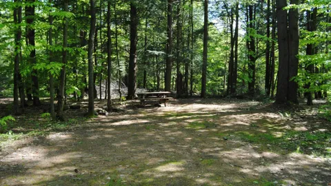 Water and Electric RV Site — image 1 of 3