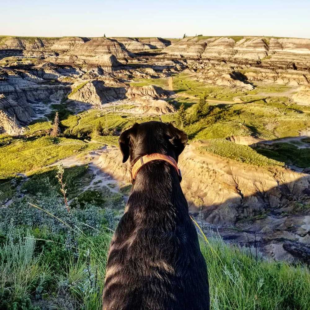 Horseshoe Canyon Campground, Drumheller, Alberta - Photo 4