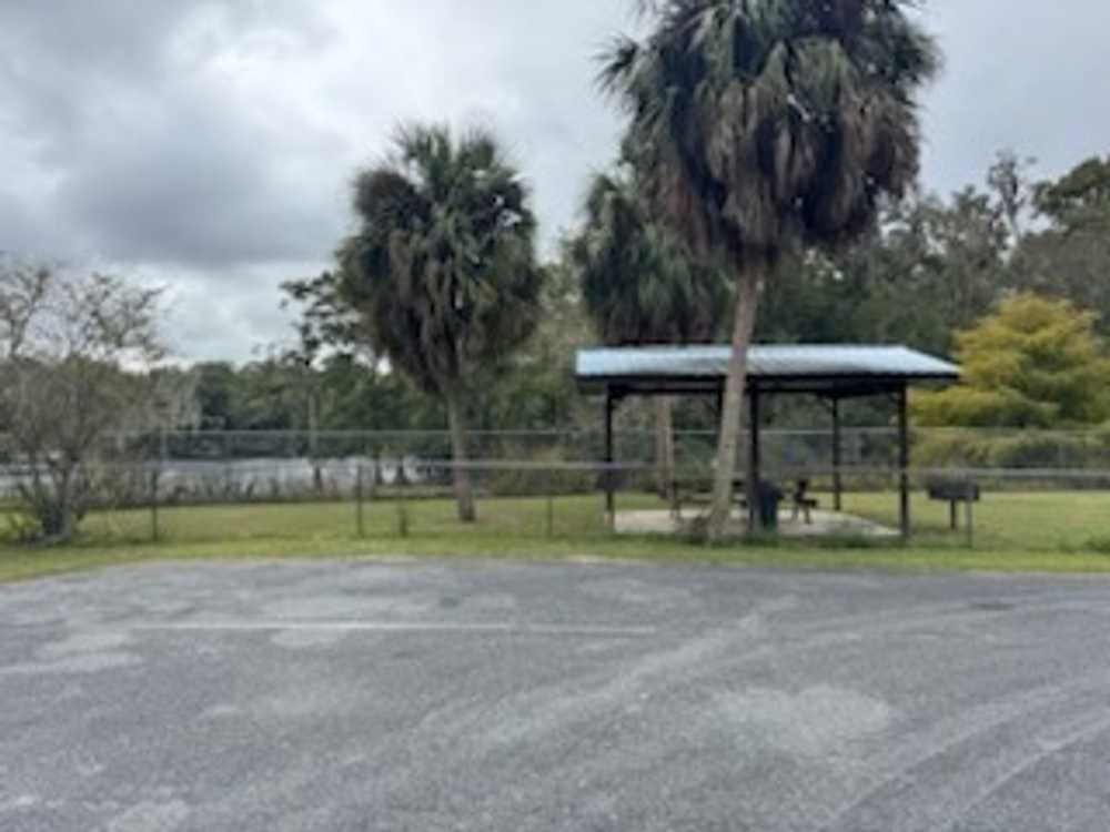 Hinton Landing - Old Town, FL - Photo 2