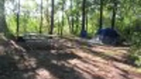 Rustic Tent Site — image 1 of 2