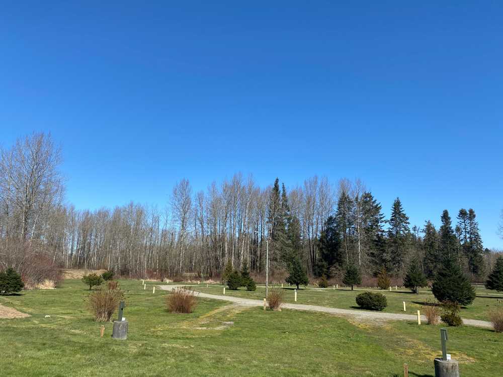 Park Image 6