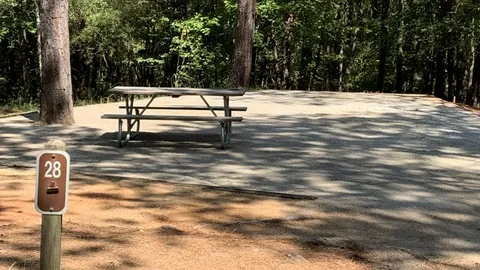 50 AMP Savannah River Interior Campsite — image 16 of 16