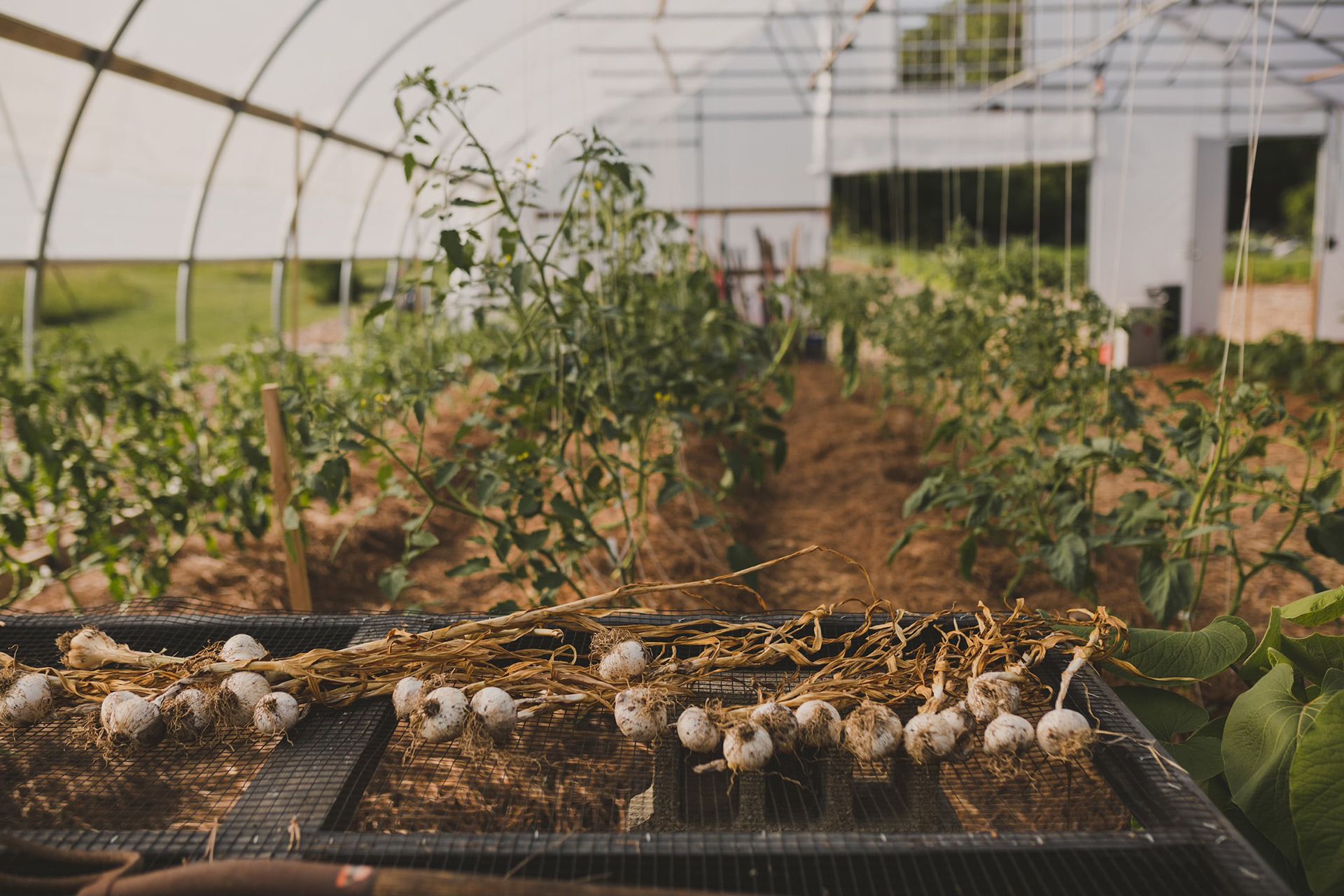 Oak & Ember Farms