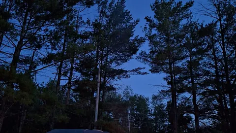 Beach Front Tent Site — image 1 of 11