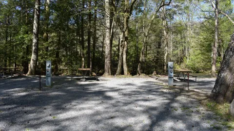 Standard On River Full Hookup RV Site — image 13 of 13
