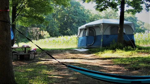 Primitive Tent Site — image 3 of 3