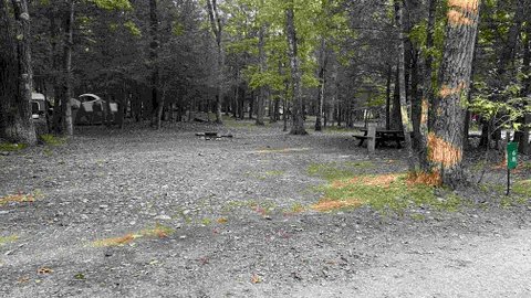 20 AMP Forest Tent / RV Site — image 10 of 10
