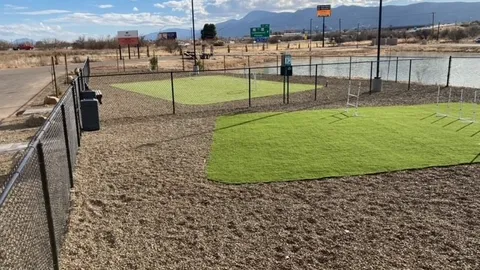 K9 Corner Back In — image 2 of 13