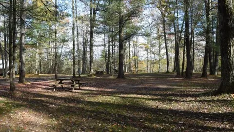 Tent Site ( RV welcome) - Rustic — image 2 of 4