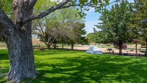 Store Tent — image 1 of 1