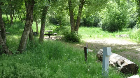 Water + Electric RV/Tent Site — image 1 of 9