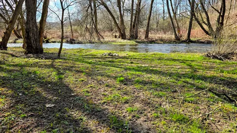 Creekside Primitive Tent Site — image 2 of 6