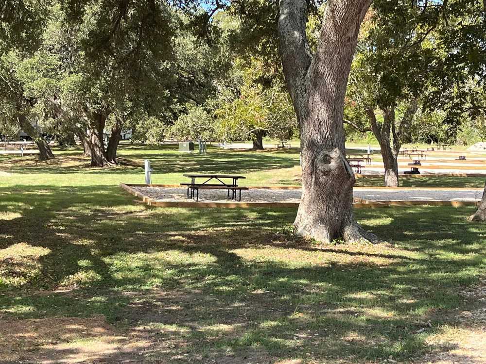 Lake Fayette Park Prairie Park - Photo 4