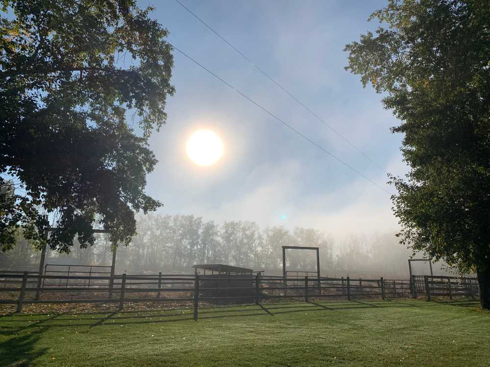 Park Image 1
