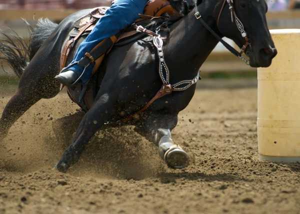 Central Montana PRCA Rodeo