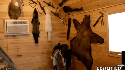 Themed Cabins — image 2 of 12