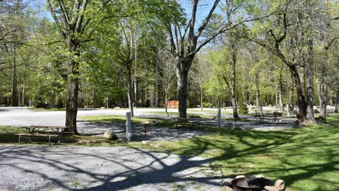 Off River Full Hookup RV Site — image 10 of 10