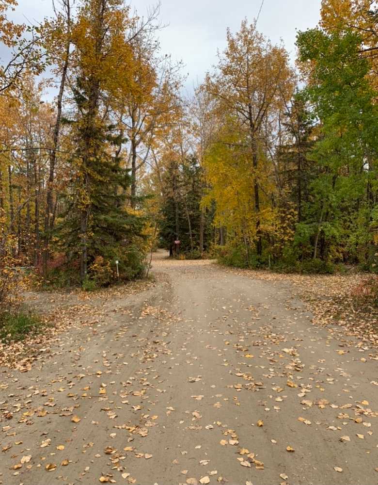 Wilson's Beach Campground - Photo 5