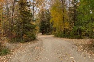 Wilson's Beach Campground – photo 5