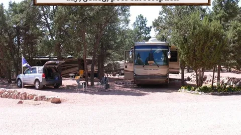 Premium Back-In RV Site — image 7 of 7