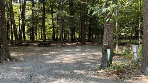 20/30/50 AMP Forest RV Site — image 2 of 13
