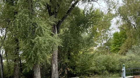 River B/C Camp Site — image 6 of 6