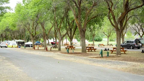Standard W/E Tent Sites — image 2 of 3