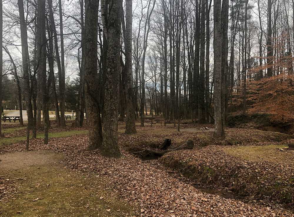 Park Image 6