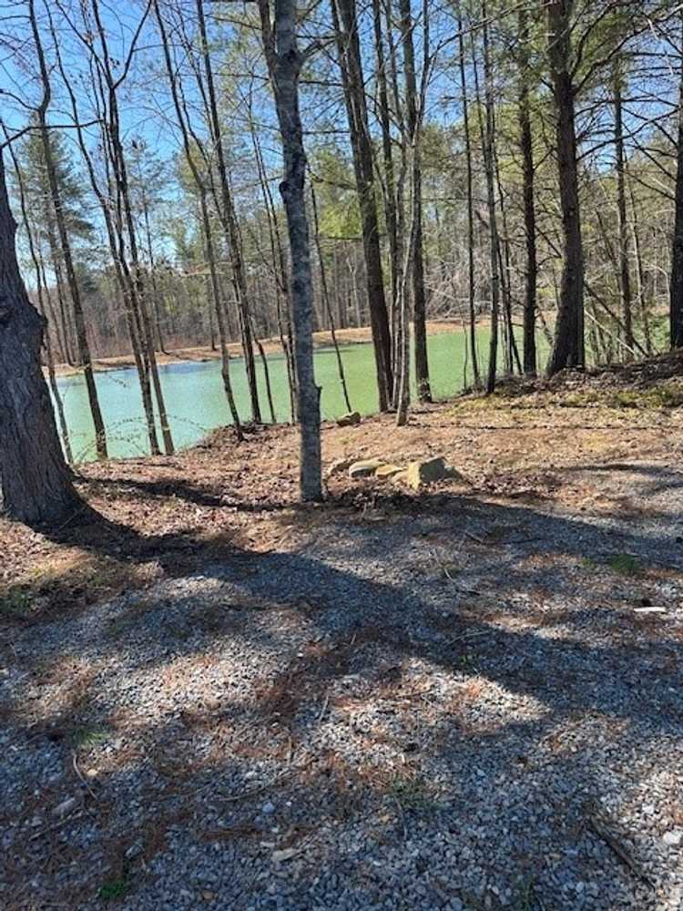 Park Image 12