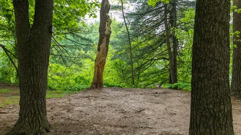 Rustic Tent — image 2 of 4