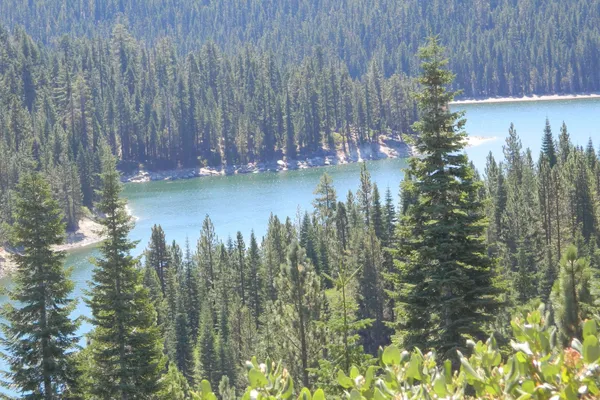 Bucks Lake Camp – photo 1