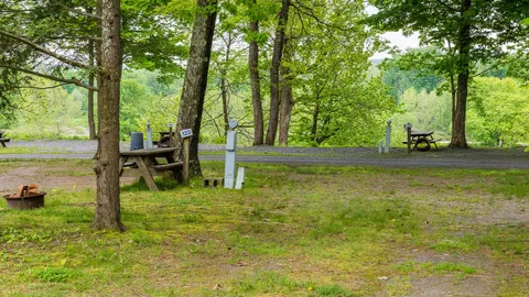 Standard Pull-Thru RV Site — image 4 of 4