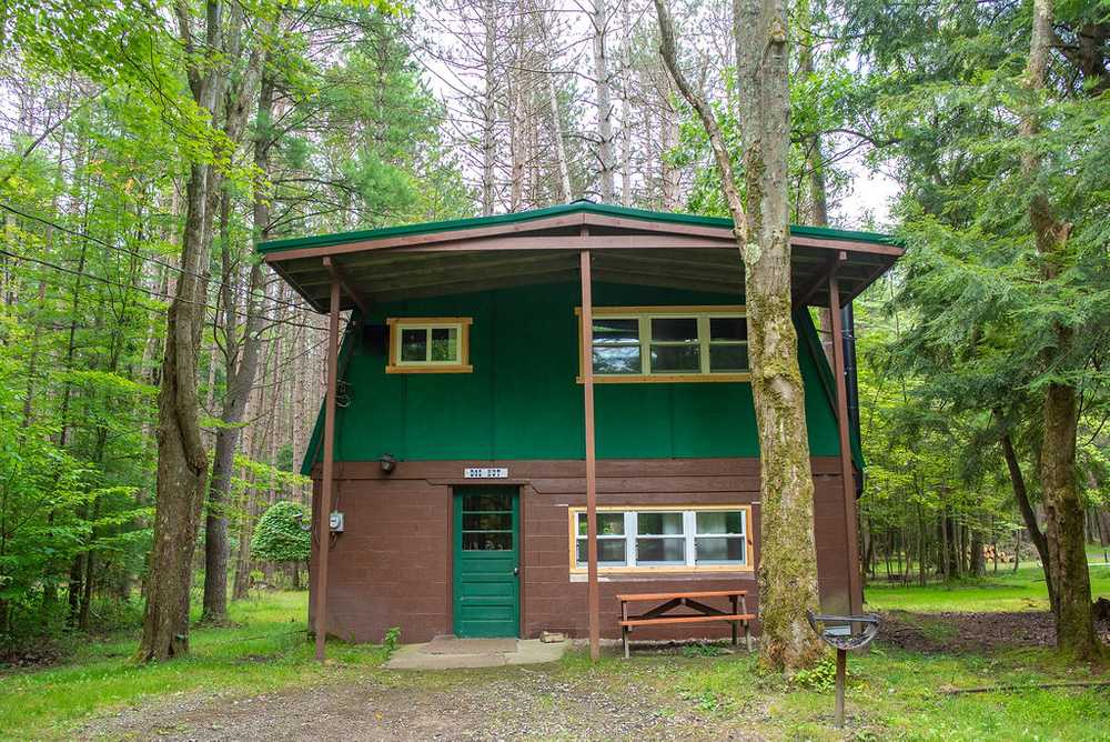 Misty Pines Cabin (Doe Hut)