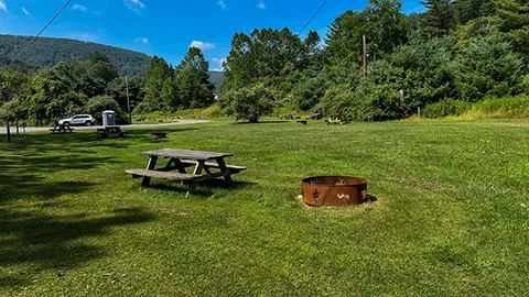 Non-Electric Grass — image 1 of 5