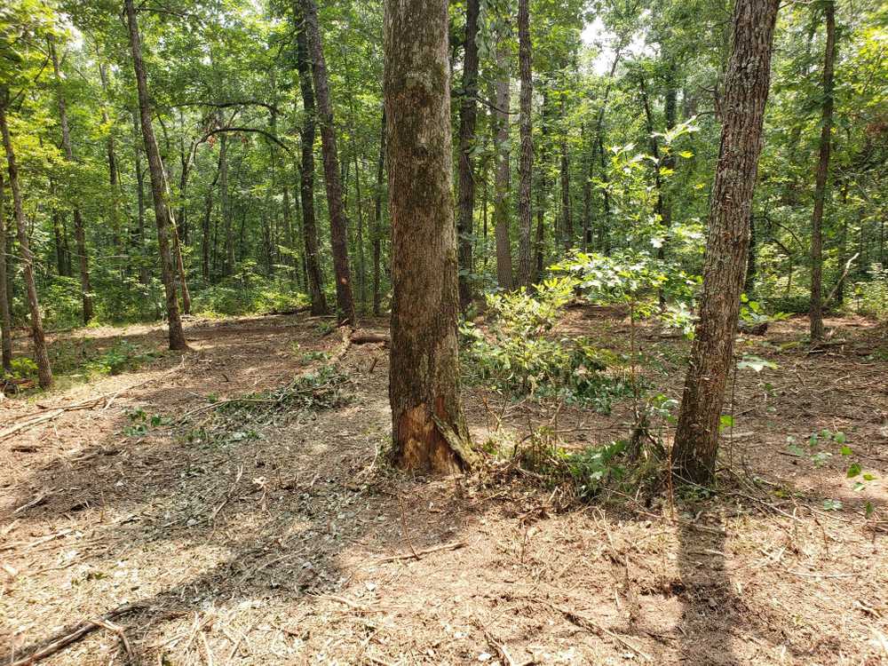 Paradise On The Mountain RV Park - Photo 3