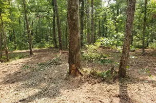 Paradise On The Mountain RV Park – photo 3
