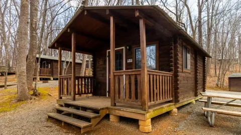 Primitive Mtn View Cabin sleeps 6 — image 6 of 6